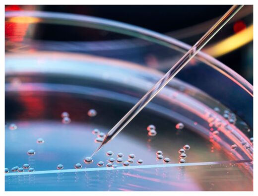 Click to enlarge Stem Cells