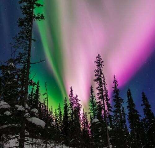 Aurora
