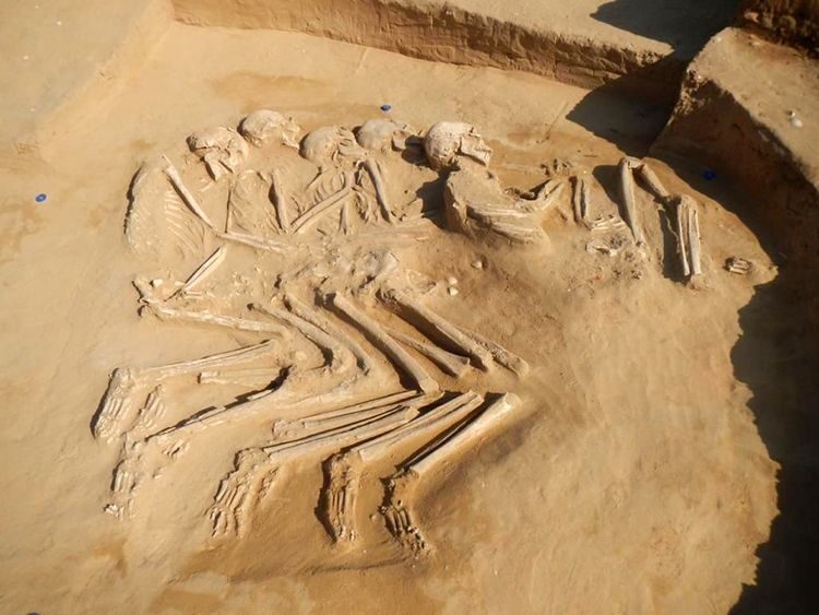 UAE skeletons