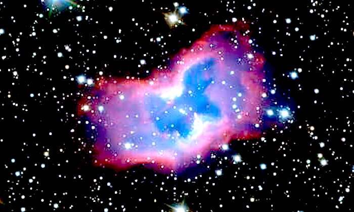 Space butterfly