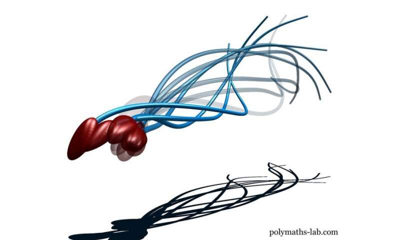 Click to enlarge sperm
