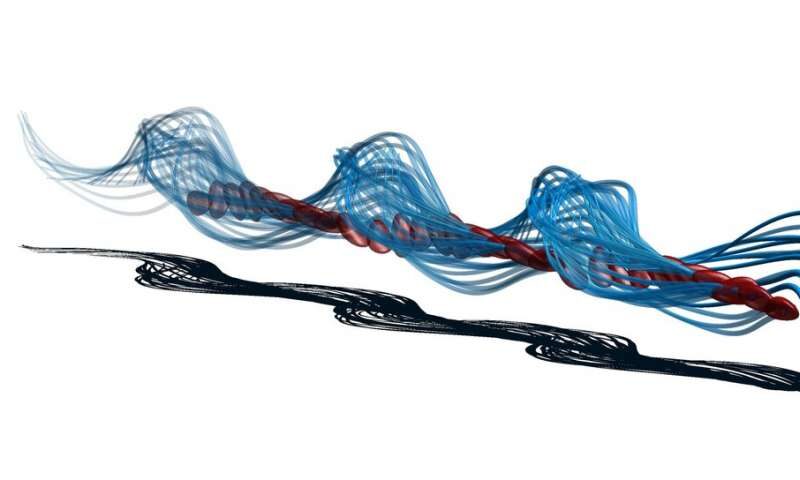 Click to enlarge Sperm