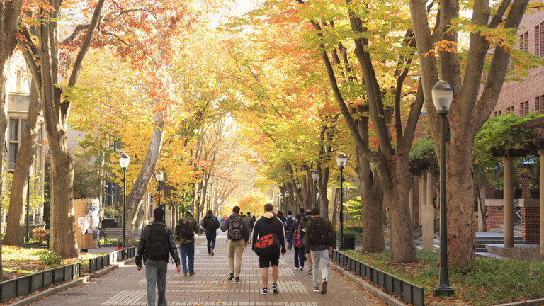University