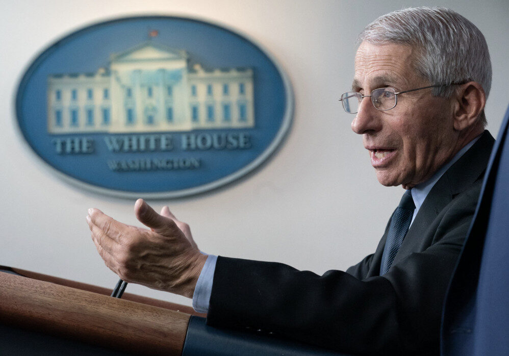 Click to enlarge anthony fauci