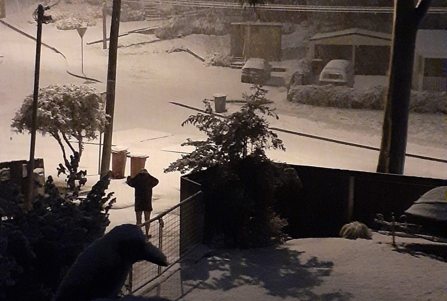 Tasmania snow