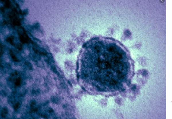 Click to enlarge coronavirus