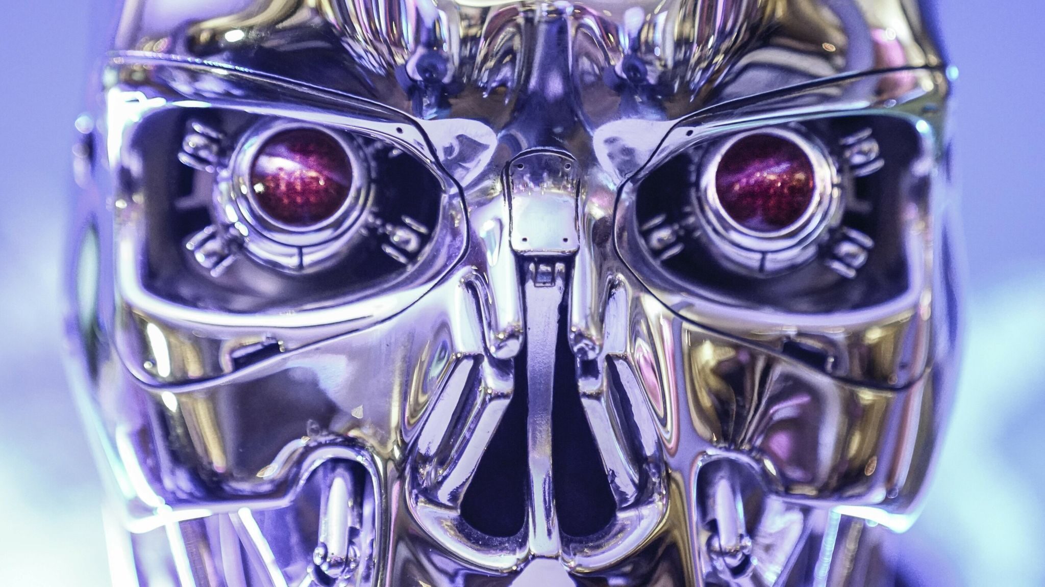 Click to enlarge terminator