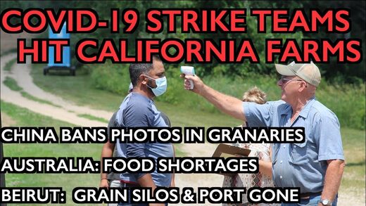 Ice Age Farmer Report: COVID-19 strike teams shut down farms - FoodWars go hot - Beirut, Australia, China shortages