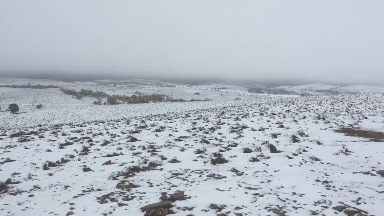 Click to enlarge rare snow