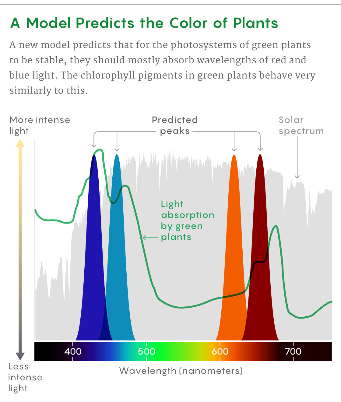 Click to enlarge light wave length photosynthesis green leaves