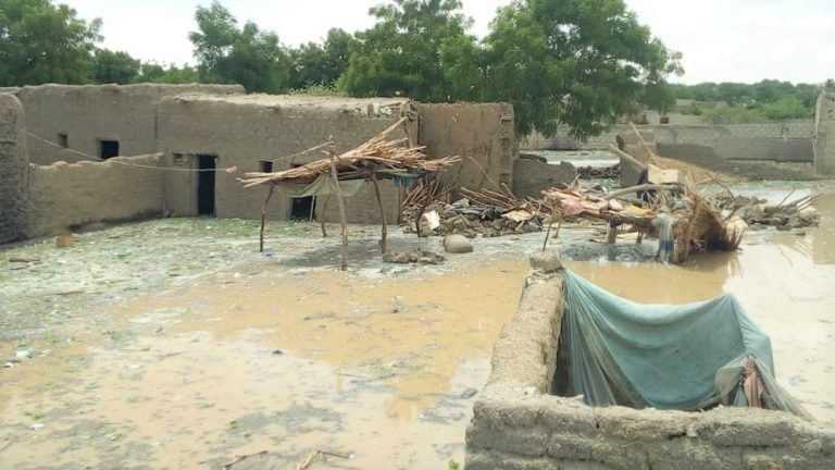 Floods in Niger, July 2020.