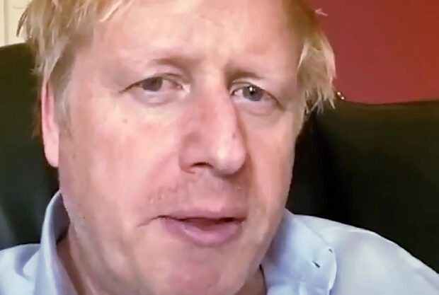 Click to enlarge bojo