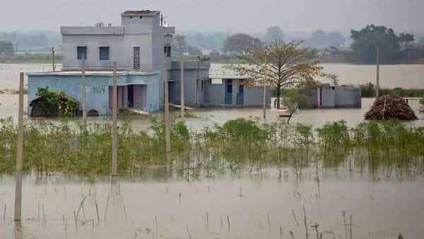 flood