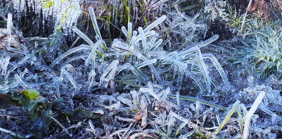 frost