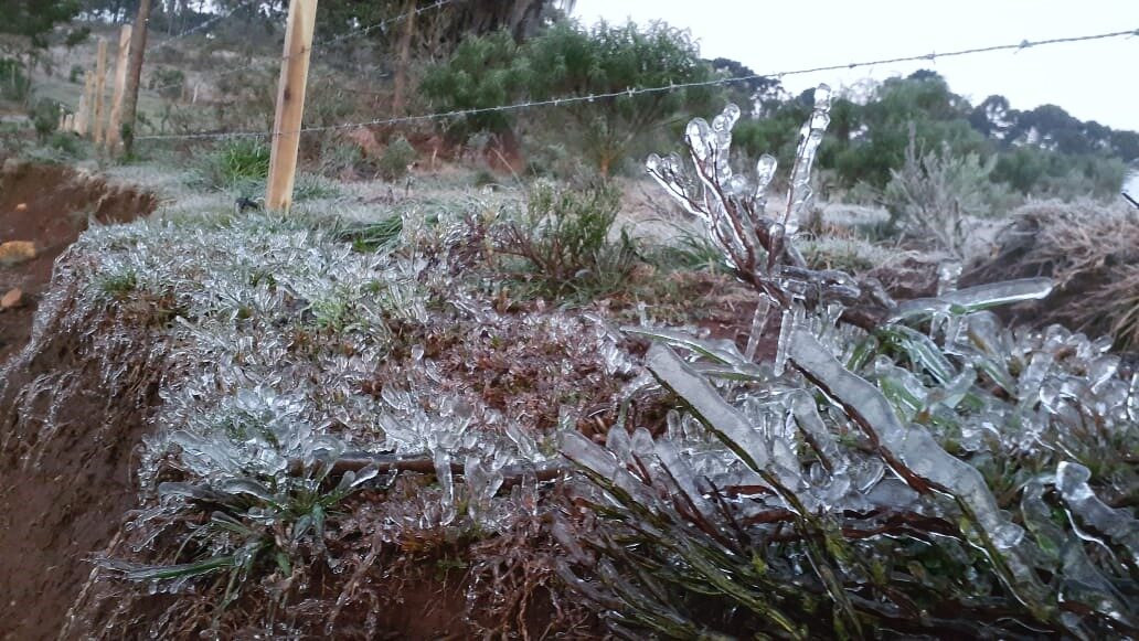 Click to enlarge 2 ice