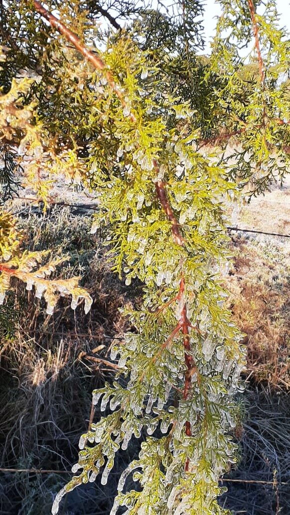 Click to enlarge ice 4