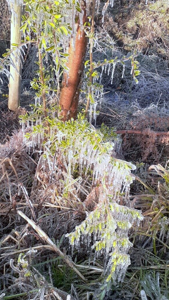 Click to enlarge ice 5