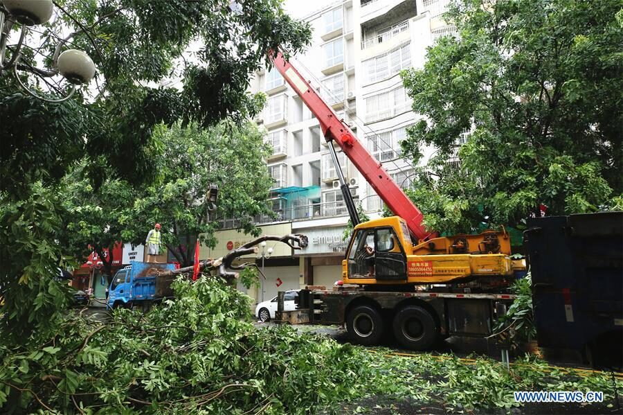 Workers clear fallen trees on a street in Sui'an Town of Zhangpu County, Zhangzhou, southeast China's Fujian Province, Aug. 11, 2020.