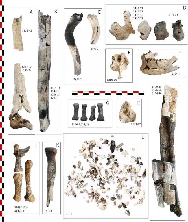 Click to enlarge Burnt Bones