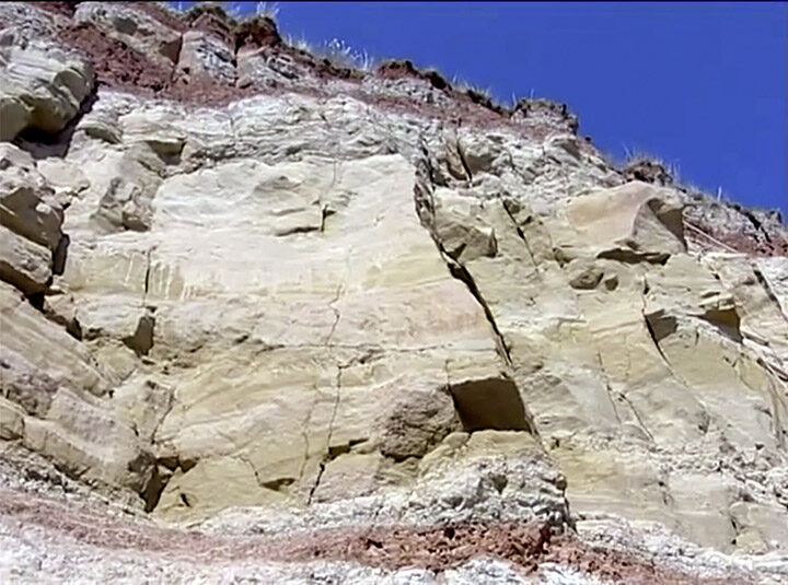 Click to enlarge dinosaur