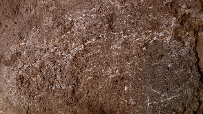 Click to enlarge sediment