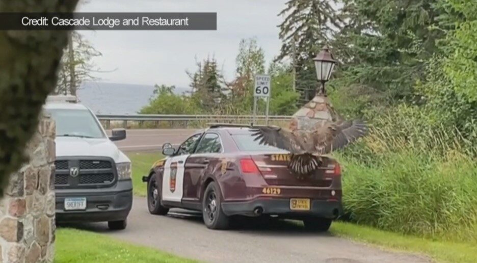 EAGLE