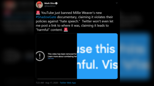 shadowgate film banned