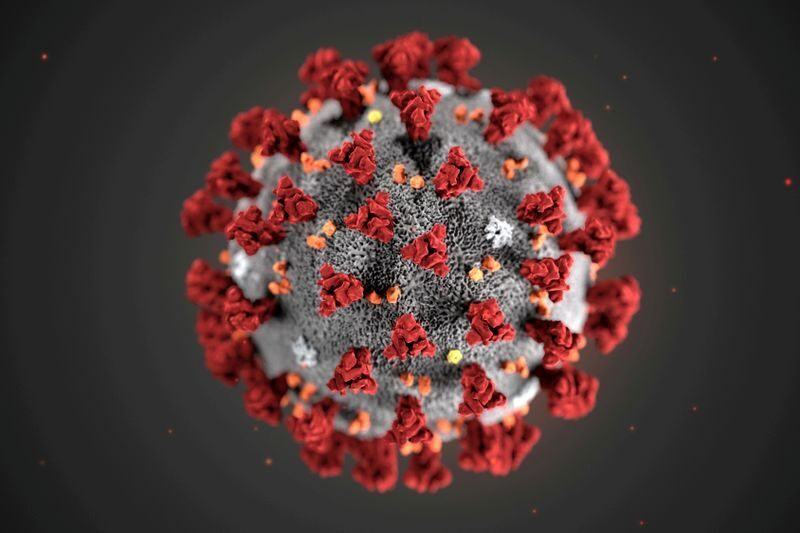 Coronavirus covid
