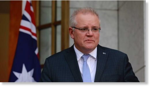 scott morrison