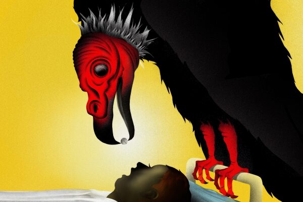 vulture