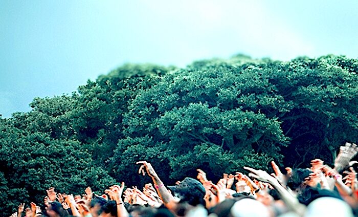 Click to enlarge crowd waving