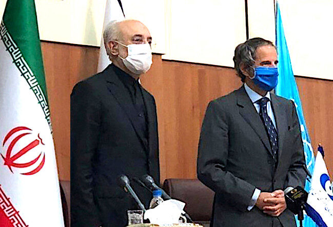 Click to enlarge Salehi/Grossi