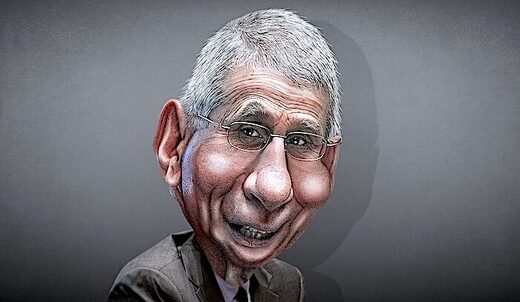 Click to enlarge Fauci