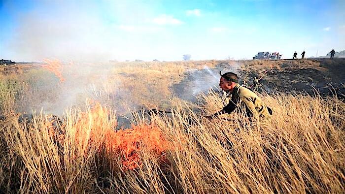 field fire