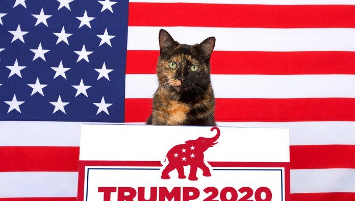 Cats Endorse Trump