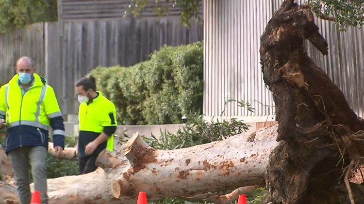 Storm damage in Victoria, Australia