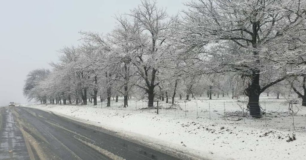 Click to enlarge snow