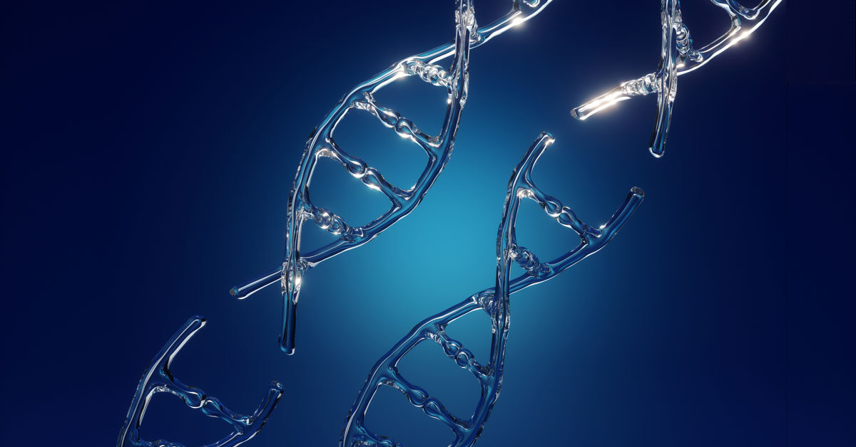 DNA strands