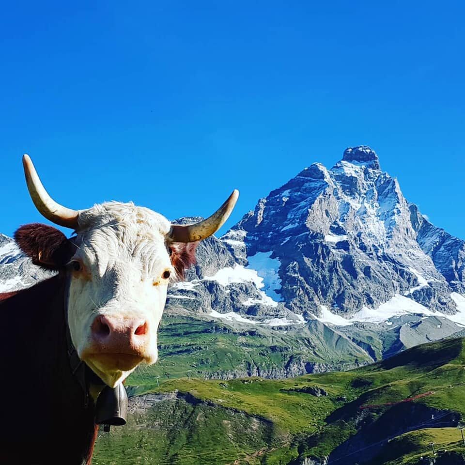 Click to enlarge Cervinia, Aosta Valley, Italy
