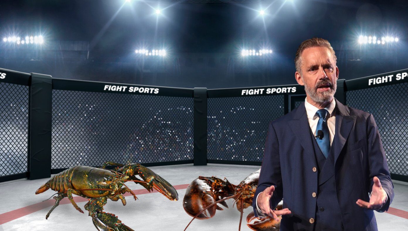 jordan peterson lobster fights babylon bee