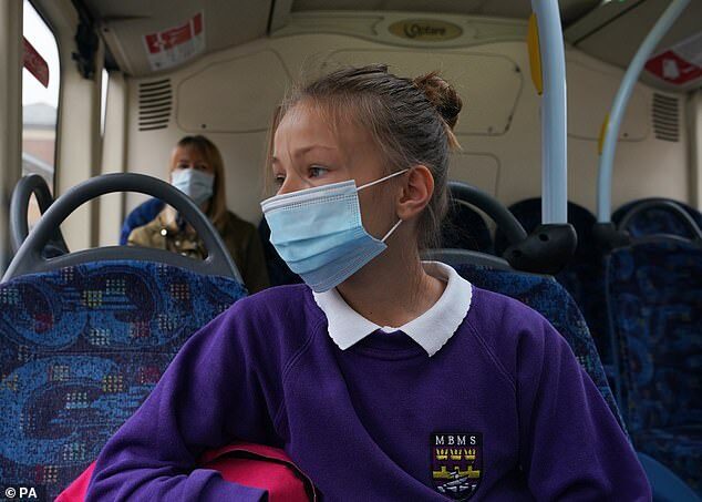 Click to enlarge face mask