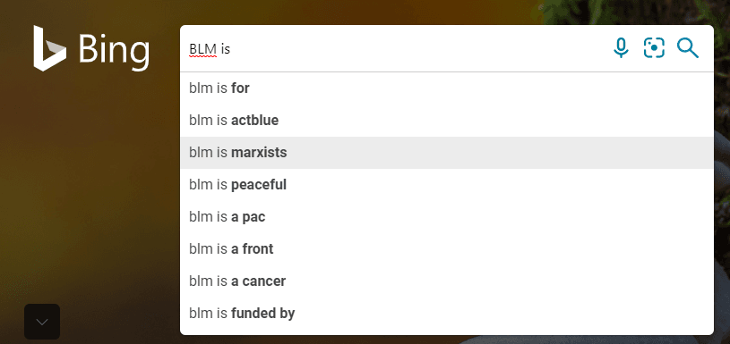 bing search
