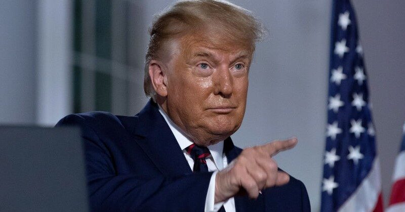 donald trump points