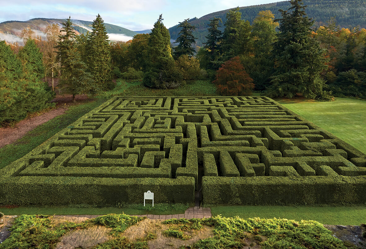 Click to enlarge Traquair Maze