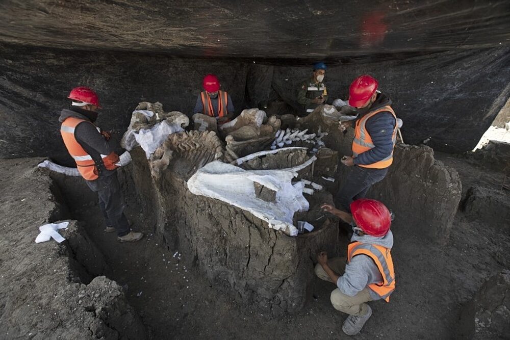 mammoth fossils mexico city