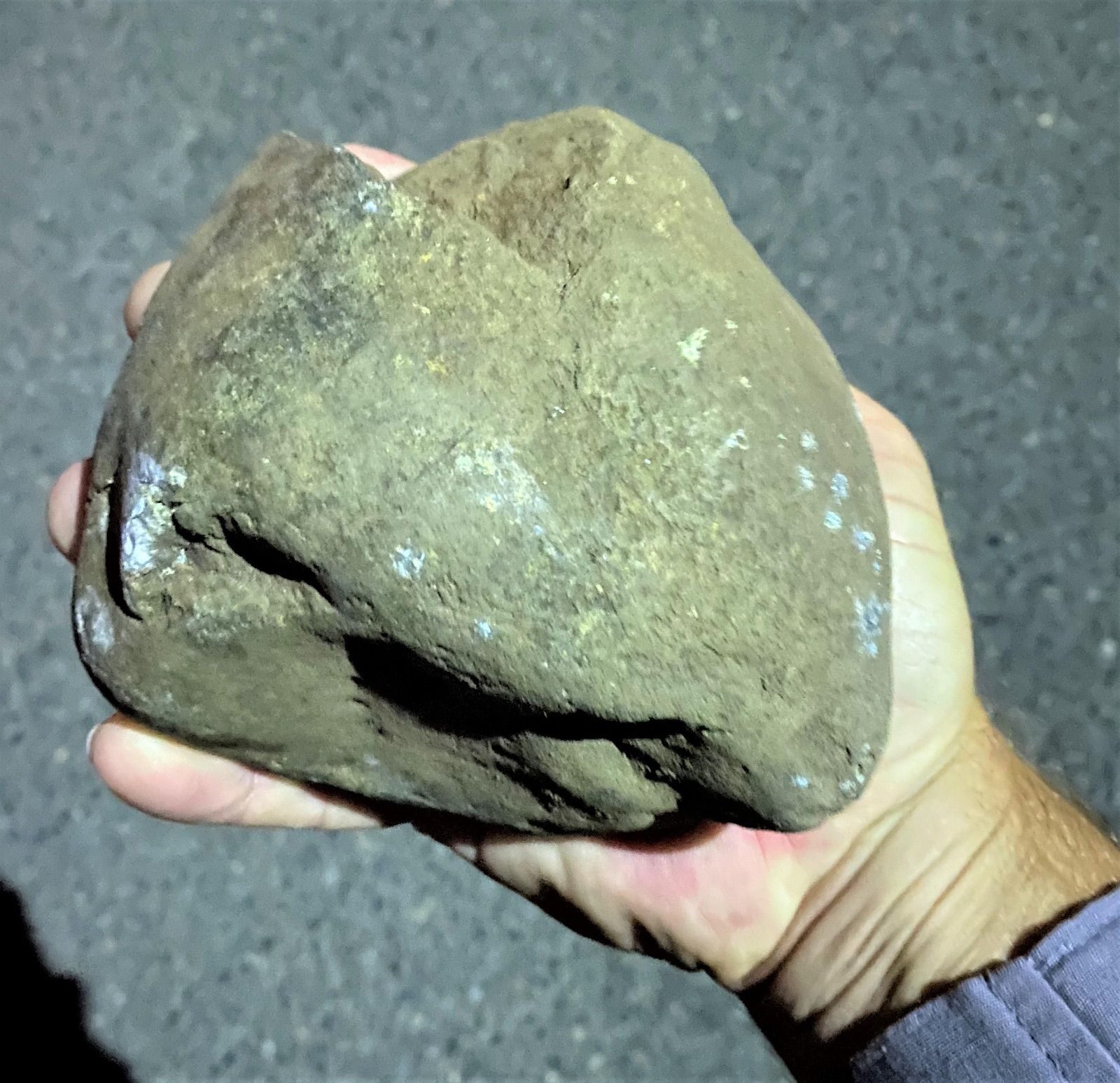 portland rocks