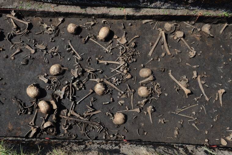 Click to enlarge skull