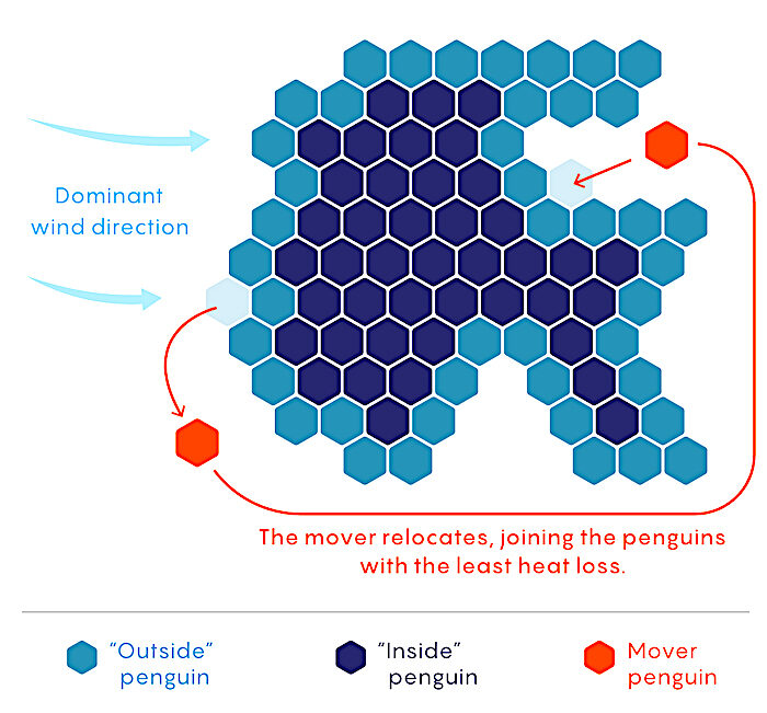 Penguin graphic