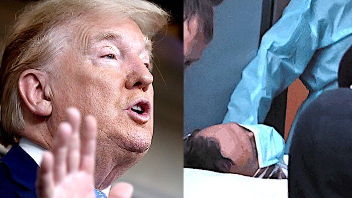 Click to enlarge Trump/Navalny