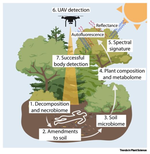 Click to enlarge Using UAV for Remote Detection